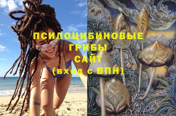 твердый Мегион