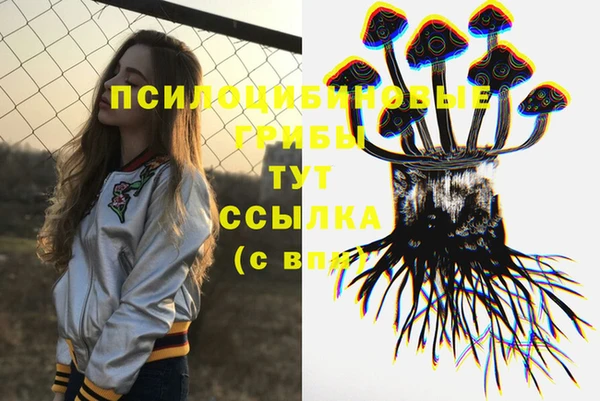 дживик Медвежьегорск