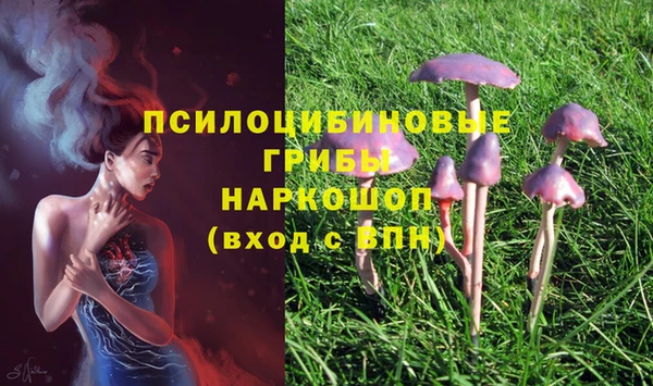 твердый Мегион