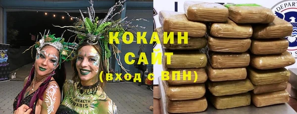твердый Мегион