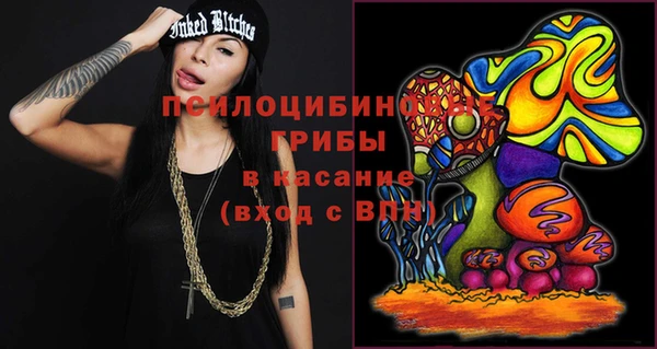 PSILOCYBIN Медногорск