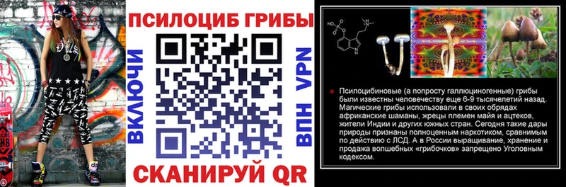 даркнет состав  OMG зеркало  Сысерть  купить наркотики цена  Псилоцибиновые грибы Cubensis 
